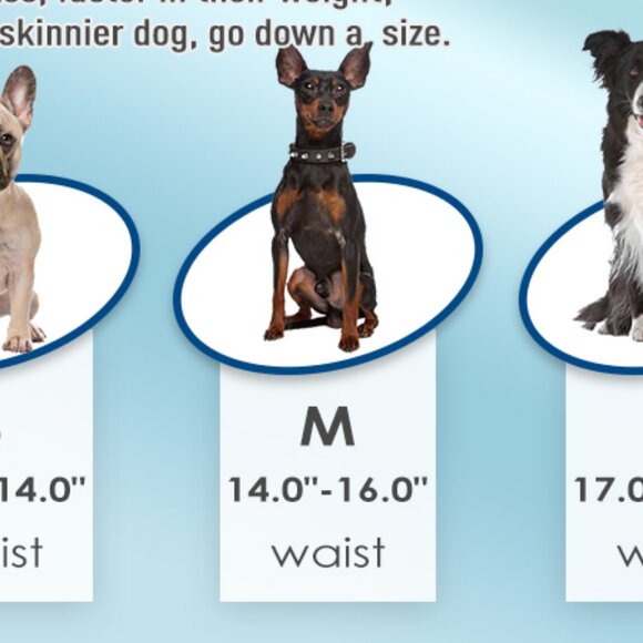 Wegreeco Washable Male Dog Belly Wrap - Pack of 7 - BLACK - Picture 4 of 4